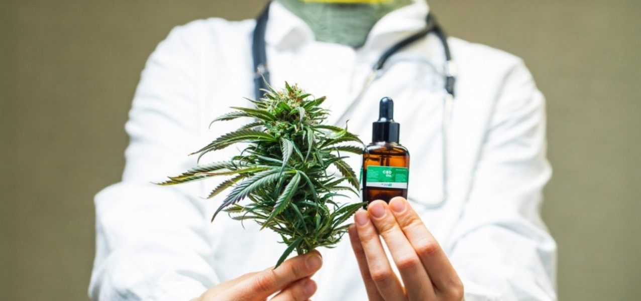 182274anvisa-libera-exportacao-de-produtos-a-base-de-cannabis-medicinal-produzidos-no-brasil-3 182274anvisa-libera-exportacao-de-produtos-a-base-de-cannabis-medicinal-produzidos-no-brasil-3