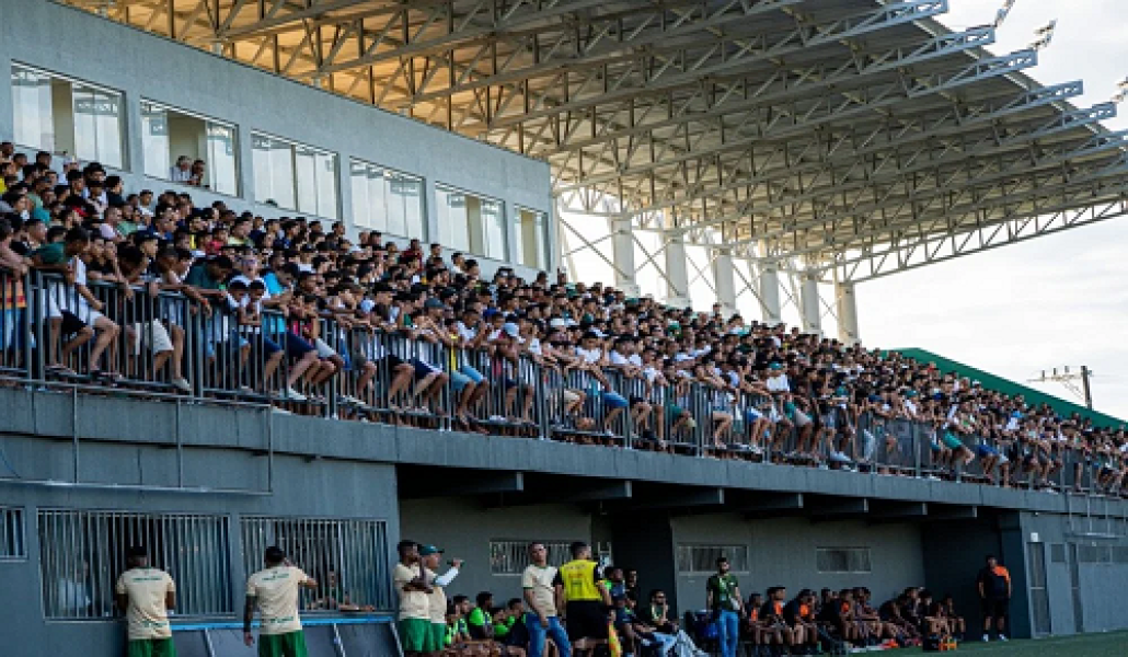 Arena