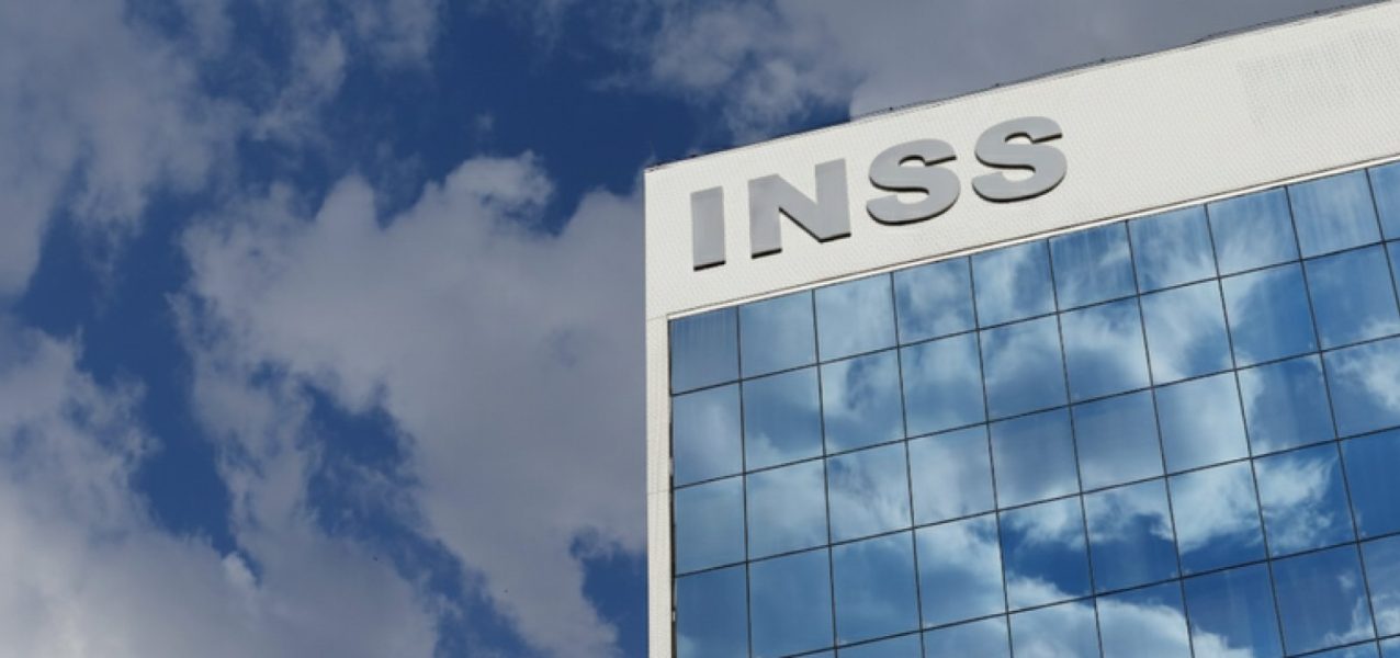 INSS-2 INSS-2